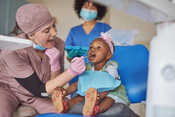 Trusted Knox, IN Holistic Dental Care Services Experts
